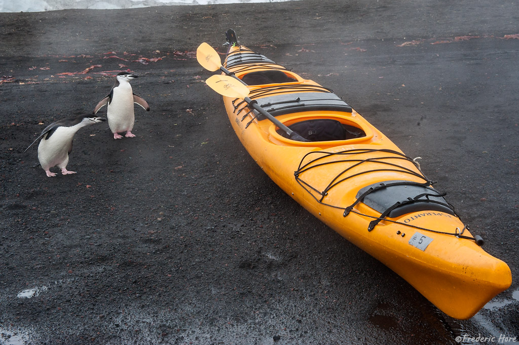 Deception Island, South Shetland Islands